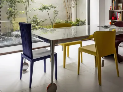 Contemporary dining room with glass table, yellow chairs, and indoor garden.