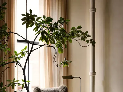 An industrial-style living room featuring a wooden armchair, woolen cushions, glass lampshade, and potted plant.