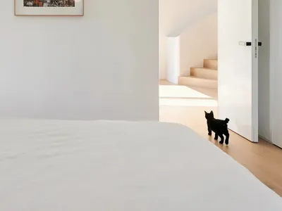 A minimalist bedroom with a wood floor and white walls.