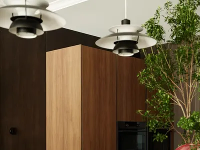 Modern kitchen with wooden cabinets, marble countertops, and a potted plant