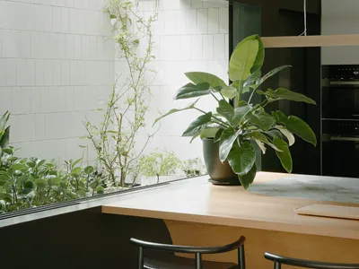 A modern kitchen with wooden countertop, white tile backsplash, and green potted plant.