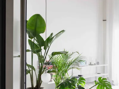 A minimalist bedroom with concrete, glass, metal, and fabric elements.