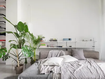A bedroom with a modern design featuring a brown wooden bed and grey fabric bedding.