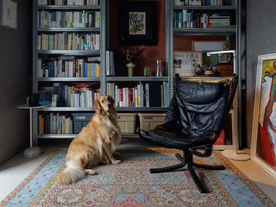 A living room with an industrial design featuring metal shelves filled with books, a wooden armchair, and a carpeted floor.
