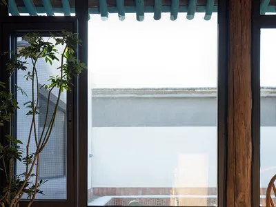 一隻灰貓坐在木製平台上，透過貓旅館室內的小窗戶向外張望。