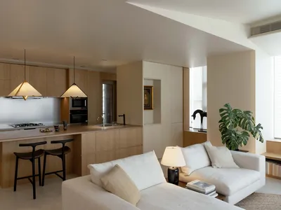 Modern living room and kitchen with wooden cabinets, metal kitchen island, and minimalistic design elements.