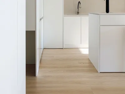Modern minimalist kitchen featuring sleek white cabinetry and light wood flooring