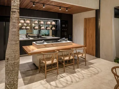 Modern kitchen with wood accents, concrete countertops, and palm tree