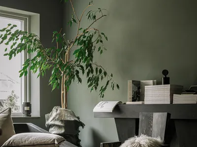 Modern industrial living room featuring rustic wooden furniture, green leafy plant, and minimalistic decor.