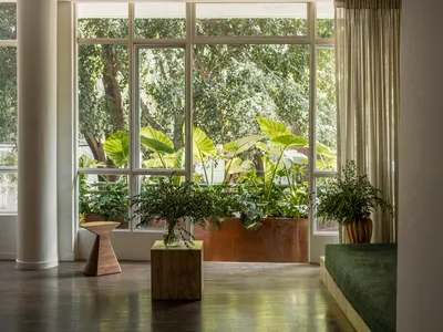 A modern industrial living room interior with concrete walls and floor, large windows, and green plants.