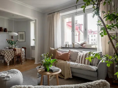 A cozy living room with fabric cushions, wooden furniture, glass curtains, and indoor plants.