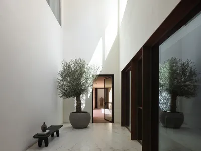 Modern, minimalist hallway with concrete walls and flooring, featuring a potted tree and a bench.