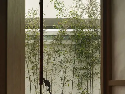 Minimalist living room featuring bamboo materials and a serene bamboo garden outside.