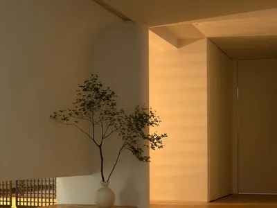 A minimalist living room featuring wooden floors, white walls, and a single potted plant.