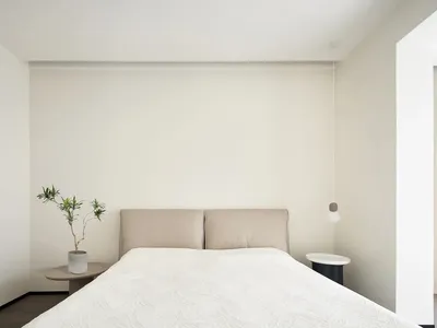 Minimalist bedroom with a bed, side tables, and a plant.