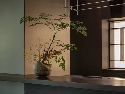 Modern interior design featuring a wooden counter and minimalist lighting with a plant arrangement.