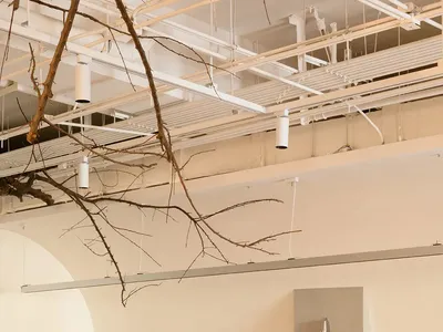 A minimalist restaurant interior featuring cork and wood materials.