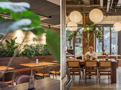A cafe interior with wooden furniture and green plants.
