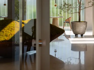 A modern restaurant interior with concrete and glass materials, featuring a table setting and a tree in a vase.