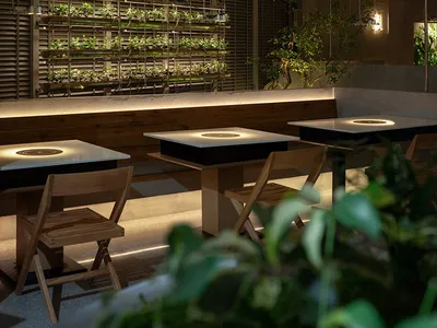 Modern restaurant interior with indoor plants, glass walls, and wooden furniture.