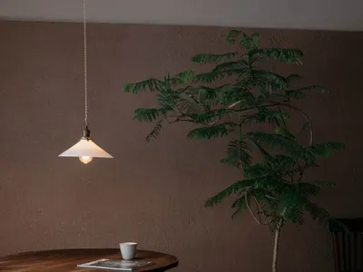 A cozy cafe interior featuring a wooden table, potted plant, and pendant light.