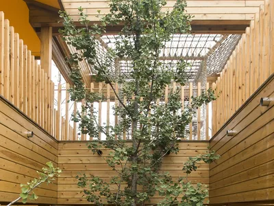A modern industrial living room with a large tree planted in the center of the room, surrounded by wooden floorboards and wal
