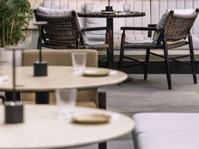 A cozy cafe with greenery plant walls and comfortable seating cushions.