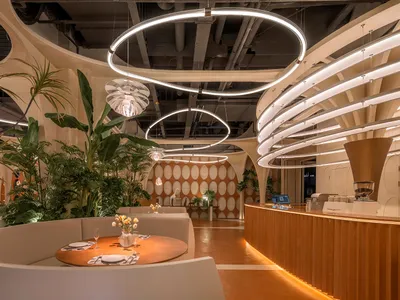 An interior design of a modern restaurant featuring concrete walls, circular lighting fixtures, and green plants.
