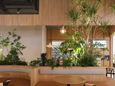 A modern restaurant interior featuring wood elements and green plants.