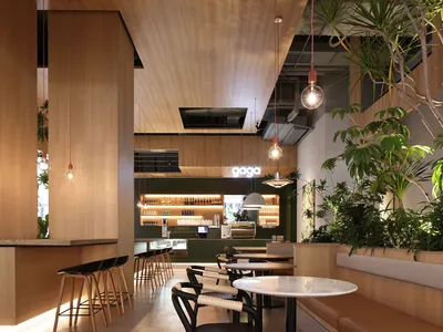 A modern restaurant cafe interior featuring wooden materials and plants