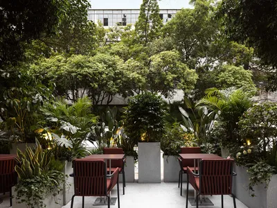 A modern coffee shop interior designed with concrete elements and lush greenery.