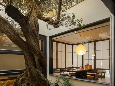 室內餐廳內有一棵成熟大樹，樹上懸掛著小型紙燈籠，置於舒適的空間中