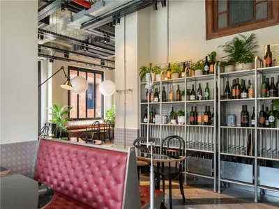 A modern restaurant interior featuring metal shelving and potted plants.
