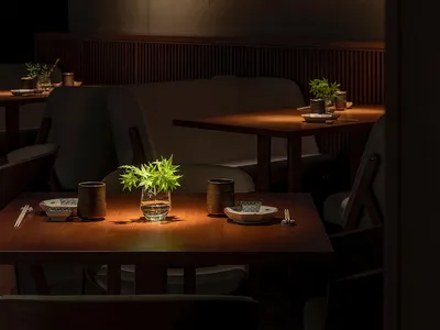 A modern restaurant with wooden tables and chairs, featuring a warm and inviting ambiance with hanging planters and natural l