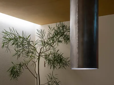 現代廚房室內，配有混凝土檯面與盆栽植物。