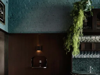 Minimalist restaurant bar with greenery hanging from the ceiling and dark wooden walls.