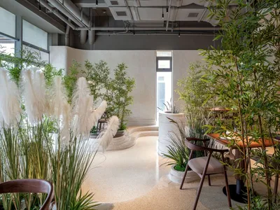 A modern restaurant interior with natural elements such as pampas grass, bamboo plants, and stone surfaces.