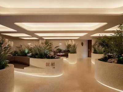 A contemporary restaurant interior featuring modern concrete planters.