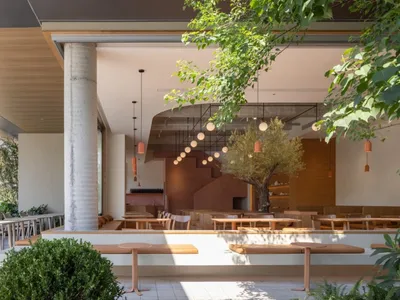 A minimalist restaurant interior with concrete walls, wooden furniture, and a large tree.