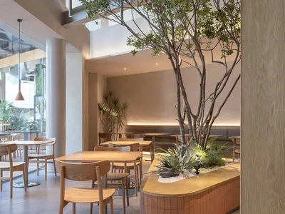 A minimalist restaurant interior featuring wood materials and modern design.