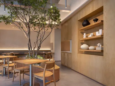 A modern restaurant cafe interior with wooden furniture, featuring a central tree and display shelves.
