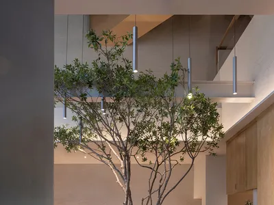 現代餐廳室內空間，陳設木質餐桌、餐椅與盆栽植物。