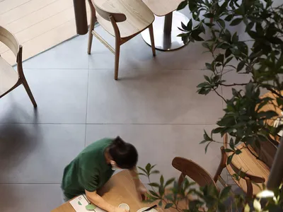 現代餐廳室內空間，擺放木製桌椅、綠色植物與白色瓷器餐具。