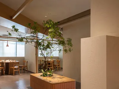 Modern restaurant interior with wooden tables and chairs, concrete flooring, and a live tree in the center, featuring sleek a