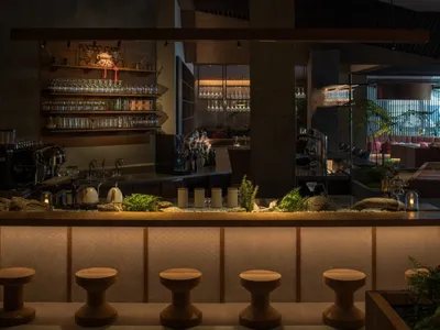 A modern bar interior featuring wooden stools and concrete columns, with a well-stocked bar counter and greenery on the count