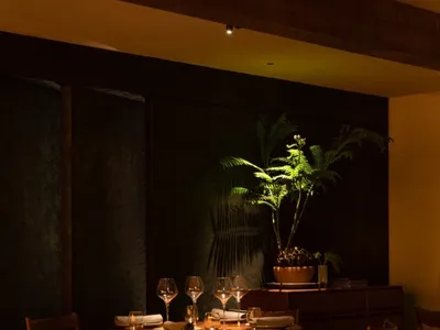 溫馨的餐廳室內擺放木質家具與植物