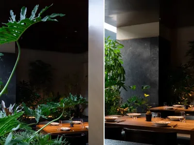 A modern restaurant interior with green plants decorating tables and walls.