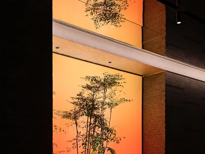 A modern restaurant interior featuring indoor plants and natural materials.