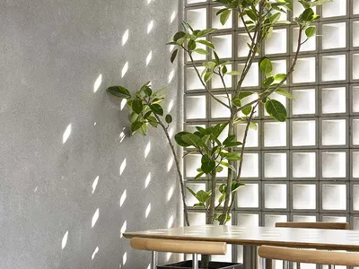 Modern restaurant interior with concrete walls and light filtering through a glass wall.
