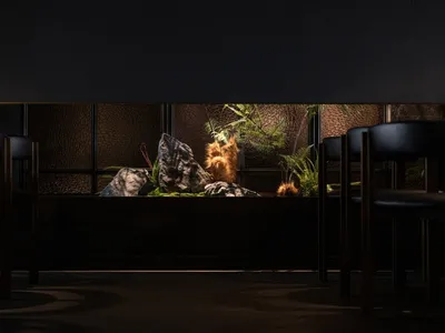 Modern-themed restaurant interior with indoor plants and rock formations.